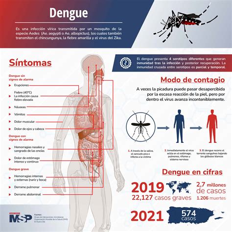 dengue 2023 oms